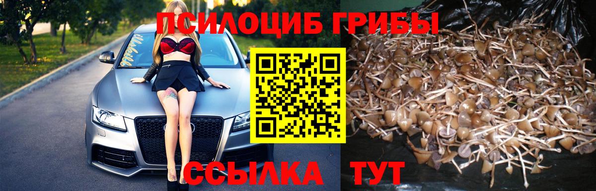 Кстово  закладка  Вход с VPN  Галлюциногенные грибы ЛСД 